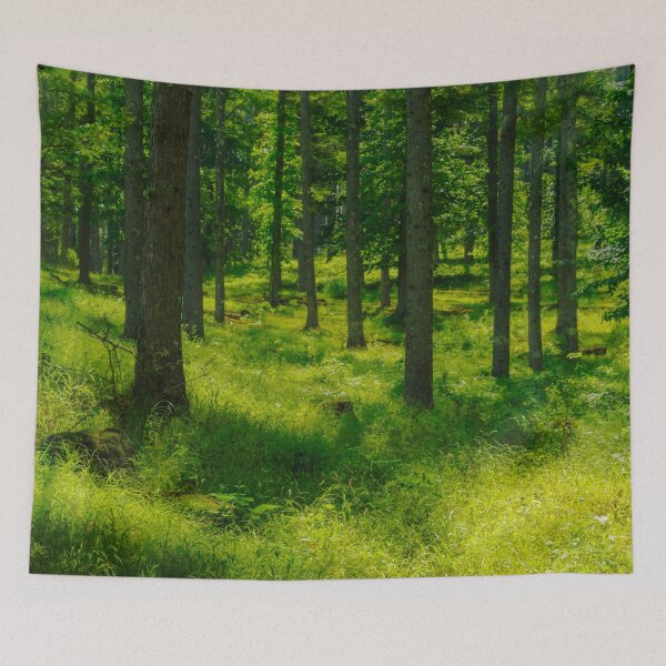 Item preview, Sunlit Woodland with Lush Greenery in Japan designed and sold by Pix4Japan.