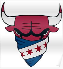 toro chicago bulls