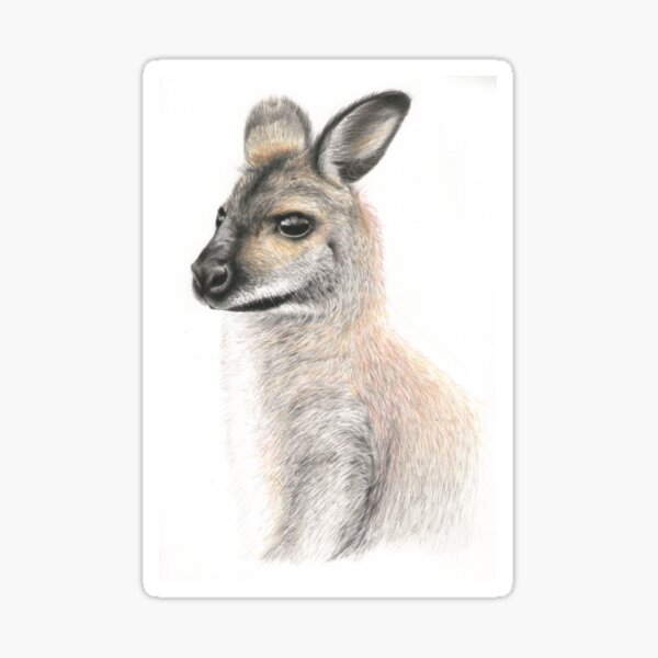 Chilled Wallaby Sticker