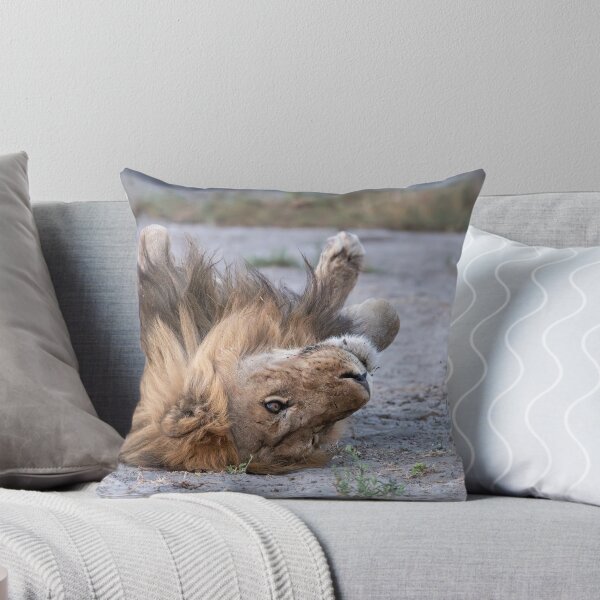 Item preview, The King at Rest – Playful Lion Rolling in the Savanna Dust designed and sold by DavideAntoniani.