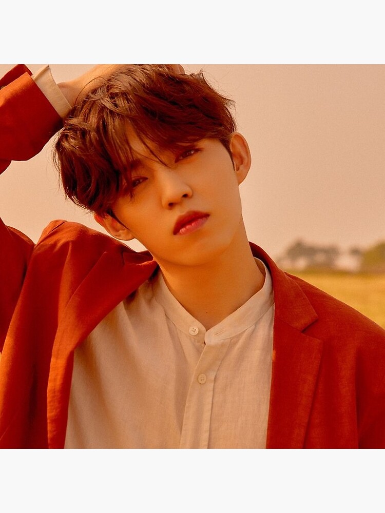 Seventeen S. Coups You Make My Day Follow Version