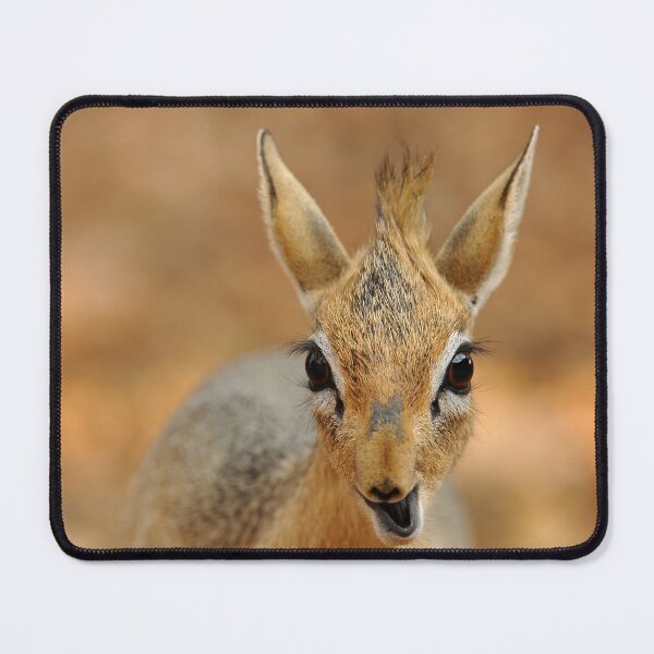 Item preview, Curious Dik-dik Antelope – African Wildlife Close-up designed and sold by DavideAntoniani.