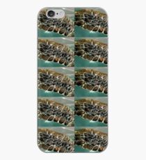 Turtle Flipper iPhone Case