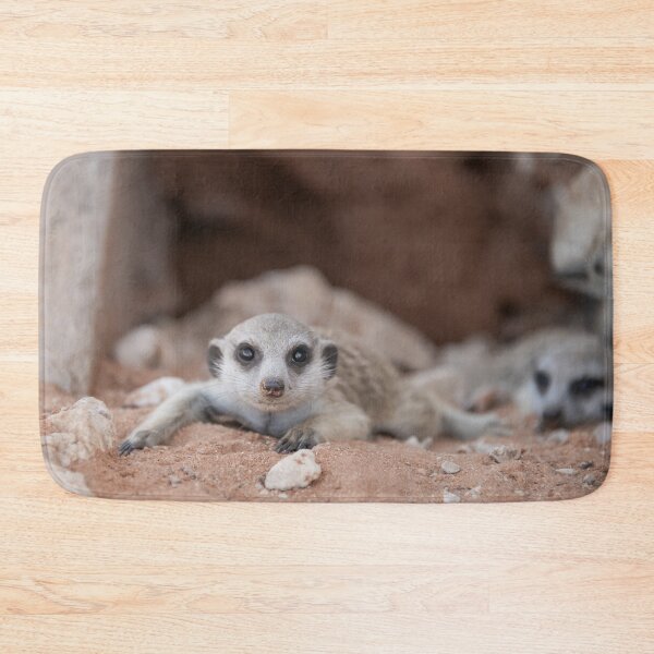 Item preview, Cute Meerkat Resting – African Wildlife Photography designed and sold by DavideAntoniani.