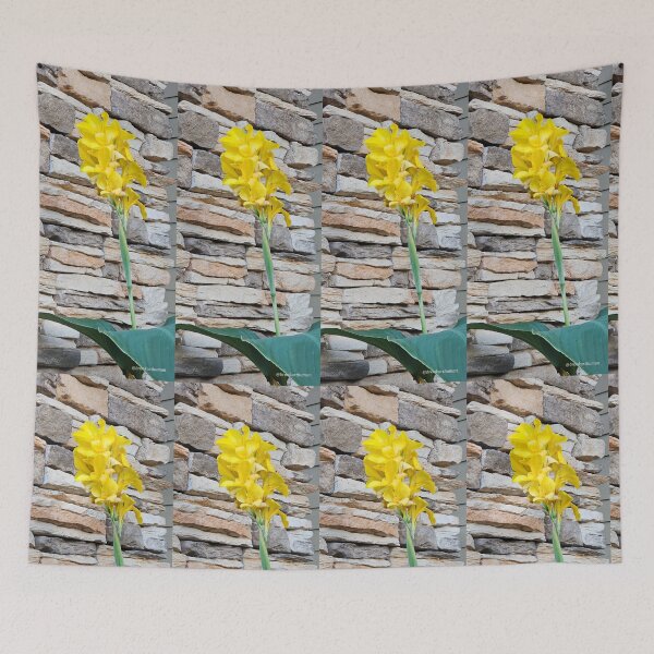Item preview, Hard and Soft designed and sold by DancingCreek.