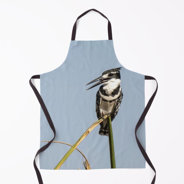 Item preview, Pied Kingfisher on Reed – African Birdwatching Photography designed and sold by DavideAntoniani.