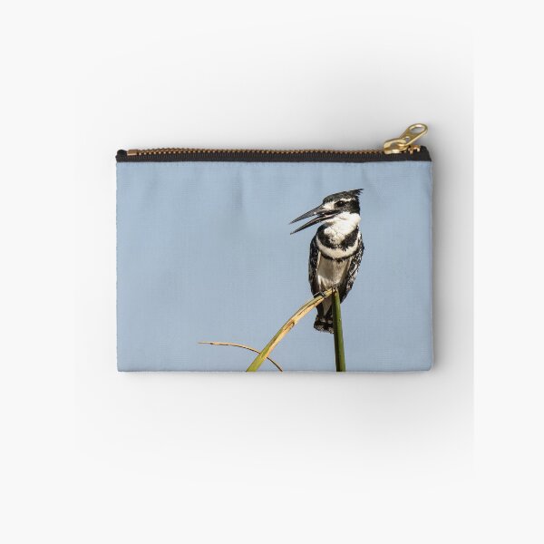 Item preview, Pied Kingfisher on Reed – African Birdwatching Photography designed and sold by DavideAntoniani.