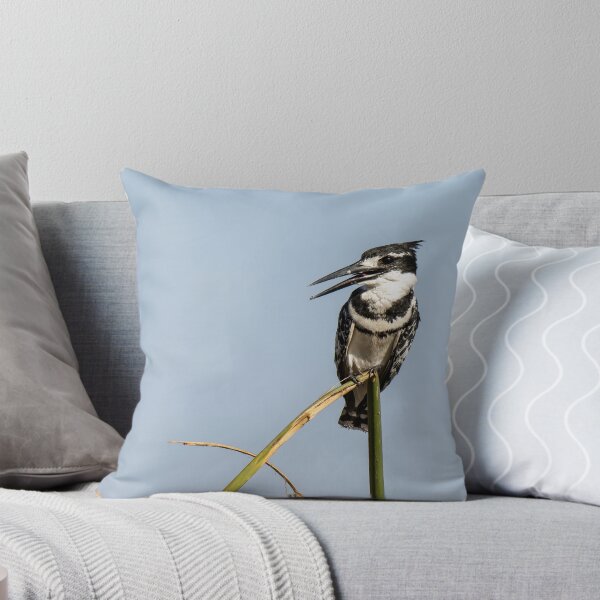 Item preview, Pied Kingfisher on Reed – African Birdwatching Photography designed and sold by DavideAntoniani.