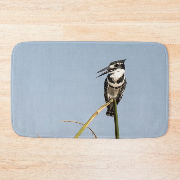 Item preview, Pied Kingfisher on Reed – African Birdwatching Photography designed and sold by DavideAntoniani.