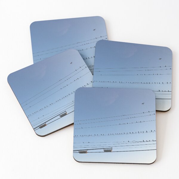 Item preview, Birds all in a line designed and sold by AffeldtImages.