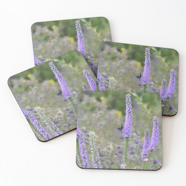 Item preview, Black Swallowtail Butterfly on Dense Blazing Star designed and sold by AffeldtImages.