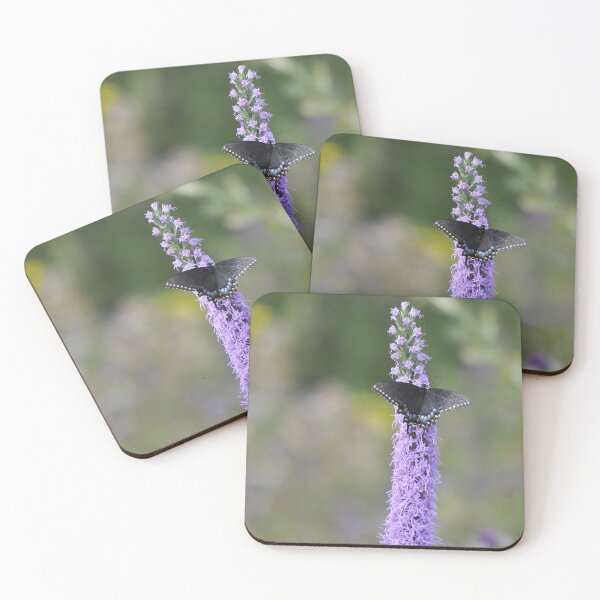 Item preview, Black Swallowtail Butterfly on Dense Blazing Star designed and sold by AffeldtImages.