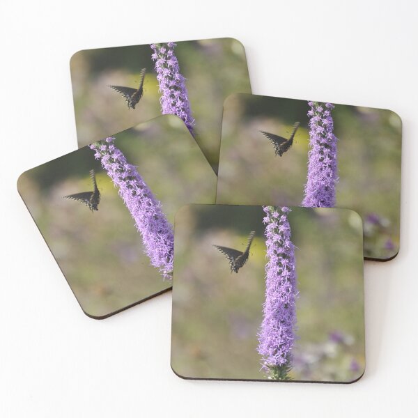 Item preview, Black Swallowtail Butterfly in Flight on Dense Blazing Star designed and sold by AffeldtImages.