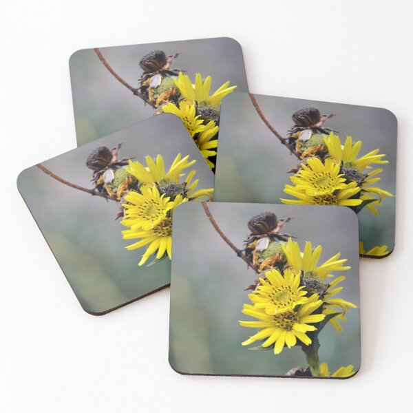 Item preview, Compass Plant like a Yellow Daisy designed and sold by AffeldtImages.