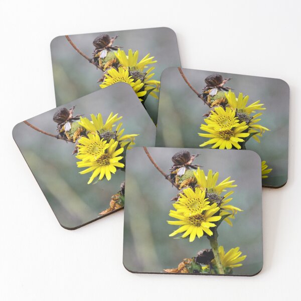 Item preview, Compass Plant like a Yellow Daisy designed and sold by AffeldtImages.