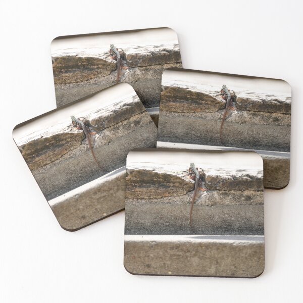 Item preview, Skink Climbing the Stairs designed and sold by AffeldtImages.