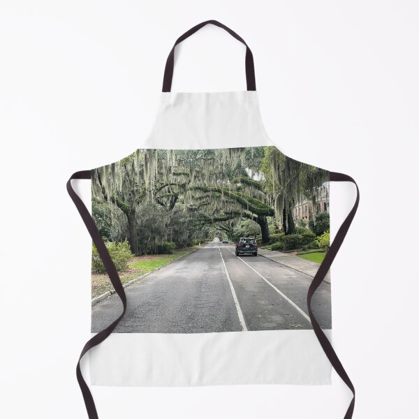 Item preview, Under an Umbrella of Spanish Moss designed and sold by JIBatSTC.