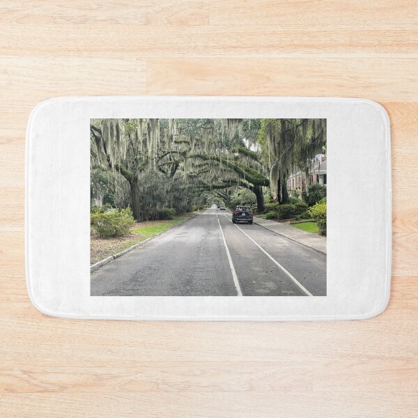 Item preview, Under an Umbrella of Spanish Moss designed and sold by JIBatSTC.