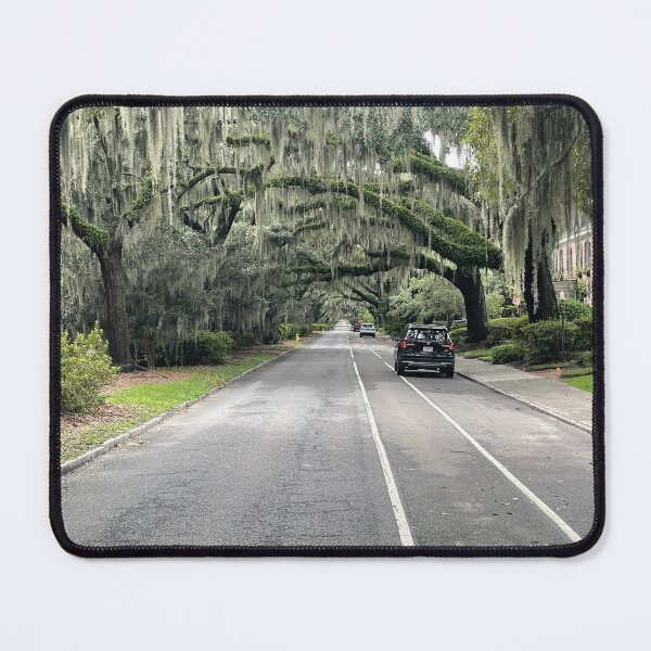 Item preview, Under an Umbrella of Spanish Moss designed and sold by JIBatSTC.