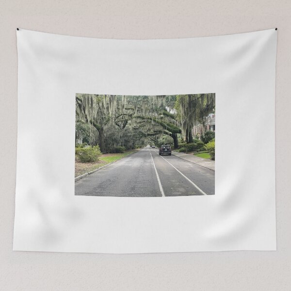 Item preview, Under an Umbrella of Spanish Moss designed and sold by JIBatSTC.