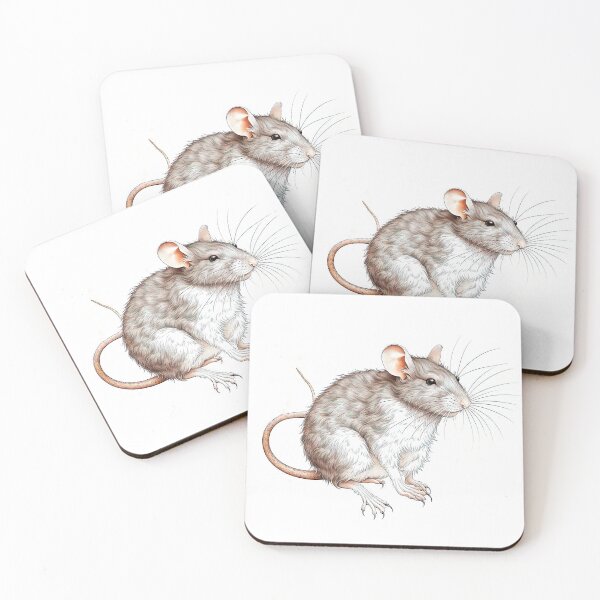 Item preview, Close up of Little cute rat on a white background isolated. designed and sold by LanaGustavsson.