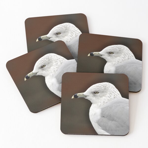 Item preview, Ring-billed Gull Closeup  designed and sold by AffeldtImages.