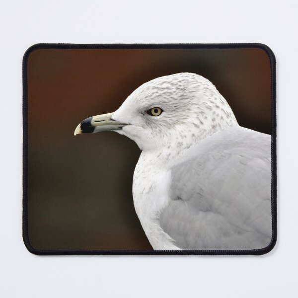Item preview, Ring-billed Gull Closeup  designed and sold by AffeldtImages.