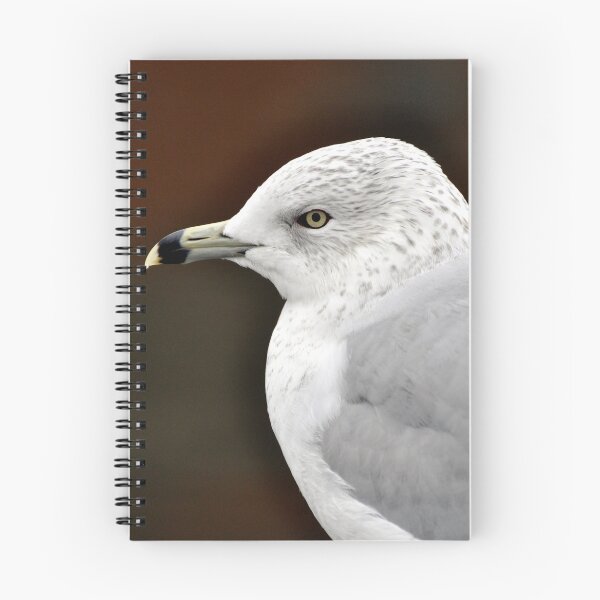Item preview, Ring-billed Gull Closeup  designed and sold by AffeldtImages.