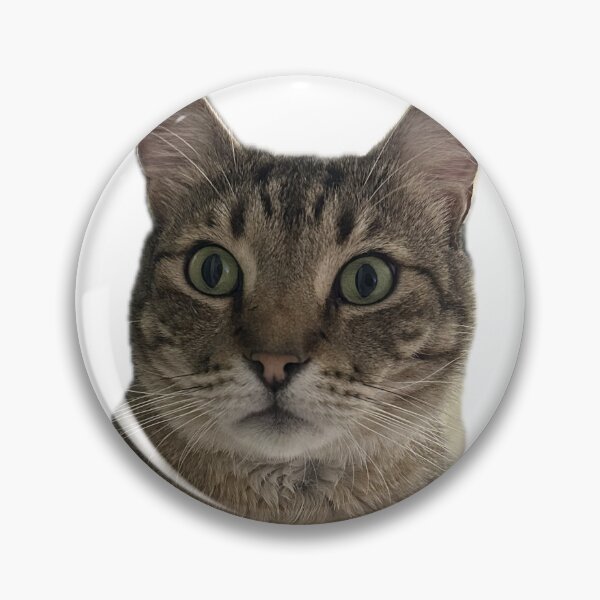 Item preview, Shocked Tabby Cat designed and sold by shiba-inus.