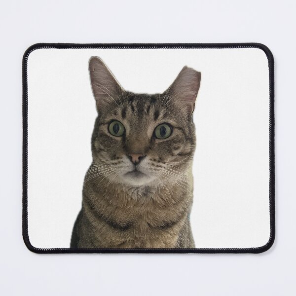 Item preview, Shocked Tabby Cat designed and sold by shiba-inus.