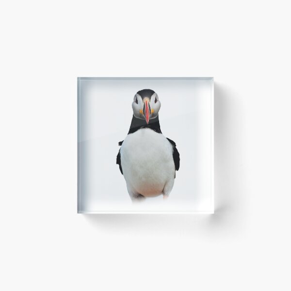 Item preview, Puffin designed and sold by robspencer.