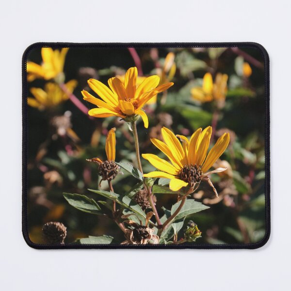Item preview, Photo of a flower designed and sold by Geraal.