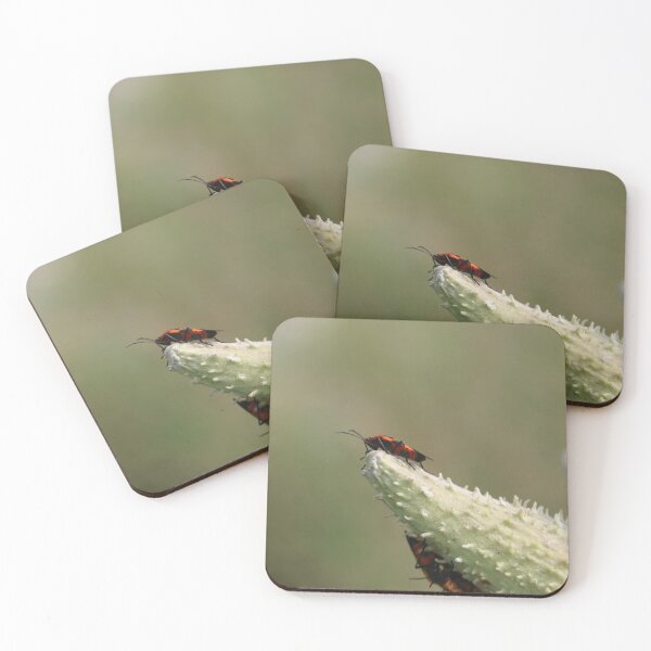 Item preview, photo of a bug on a plant designed and sold by Geraal.