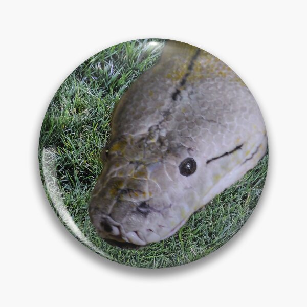 Item preview, Snake in the Grass designed and sold by heatherfriedman.