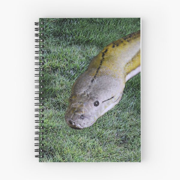 Item preview, Snake in the Grass designed and sold by heatherfriedman.