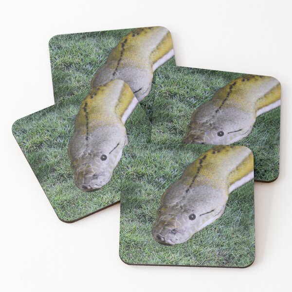 Item preview, Snake in the Grass designed and sold by heatherfriedman.