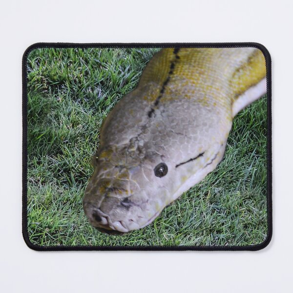 Item preview, Snake in the Grass designed and sold by heatherfriedman.