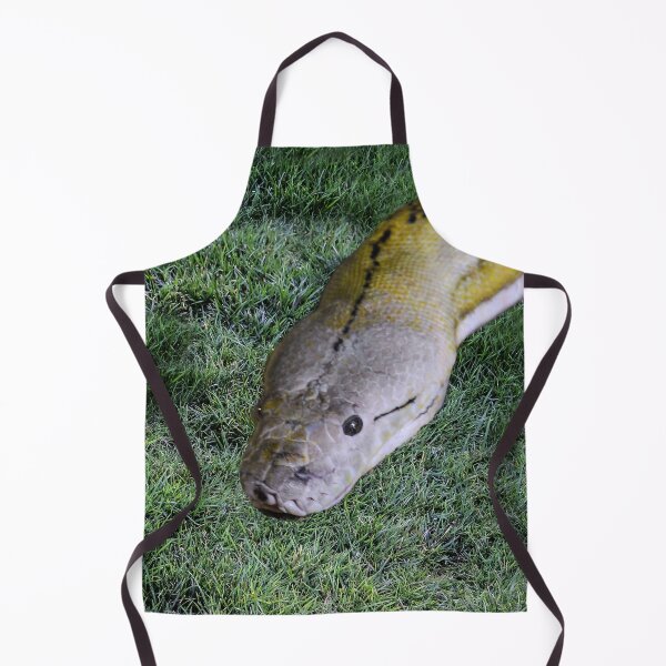 Item preview, Snake in the Grass designed and sold by heatherfriedman.