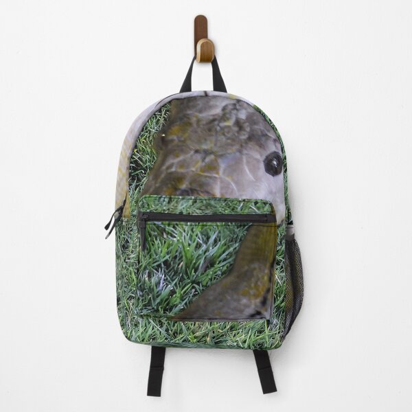 Item preview, Snake in the Grass designed and sold by heatherfriedman.
