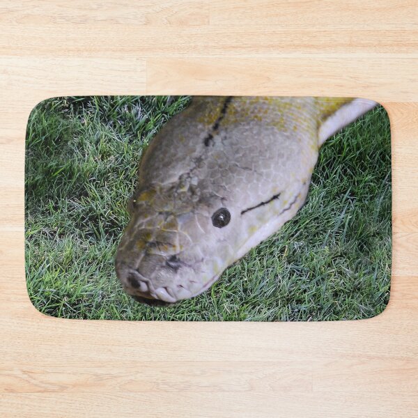 Item preview, Snake in the Grass designed and sold by heatherfriedman.