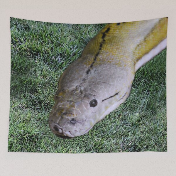 Item preview, Snake in the Grass designed and sold by heatherfriedman.