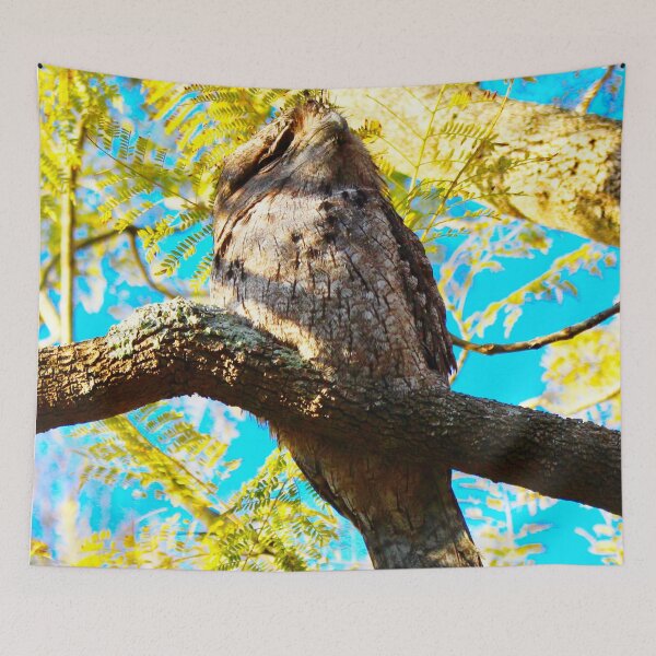 Item preview, Tawny frogmouth designed and sold by Mickangelhere.