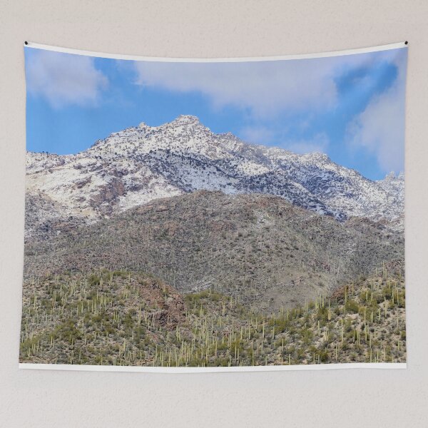 Item preview, Saguaro Cacti Snow Time Background  designed and sold by simonjayphotos.