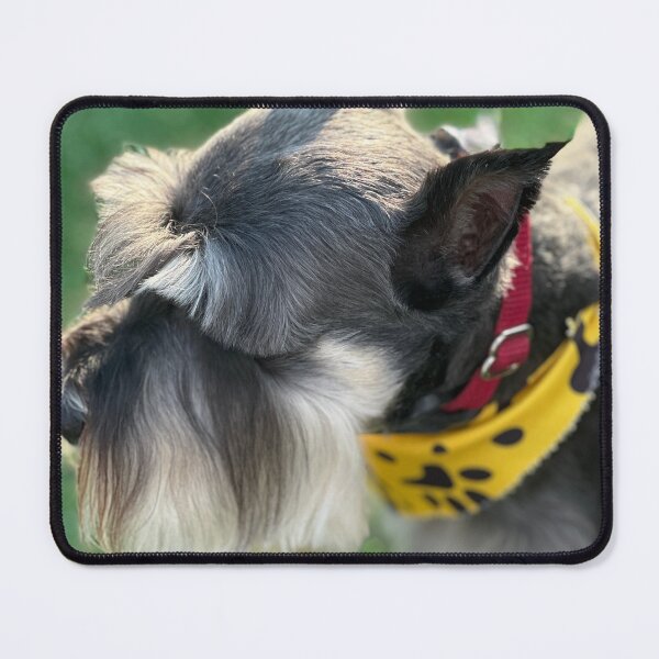 Item preview, Adorable Schnauzer with Yellow Bandana designed and sold by NAJ2023.