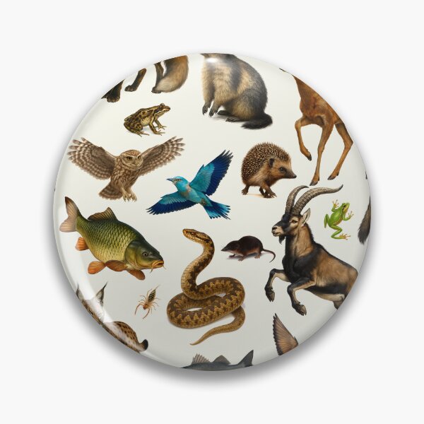 Item preview, Animals of Southern Europe Retro Illustration Wildlife Chart designed and sold by kakarikihill.