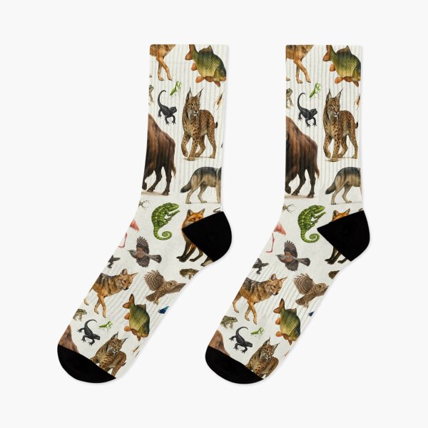 Item preview, Animals of Southern Europe Retro Illustration Wildlife Chart designed and sold by kakarikihill.