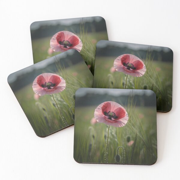 Item preview,  vibrant crimson poppy standing tall in a field of lush green grass designed and sold by PrintoThink.