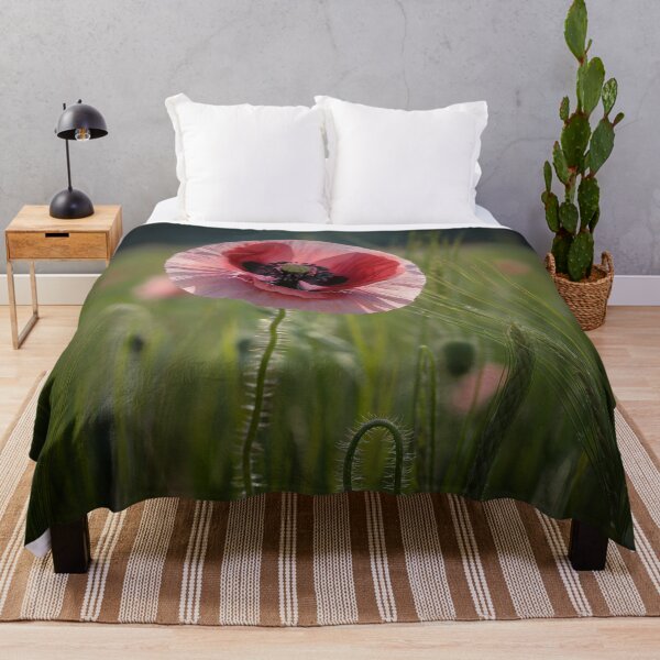 Item preview,  vibrant crimson poppy standing tall in a field of lush green grass designed and sold by PrintoThink.