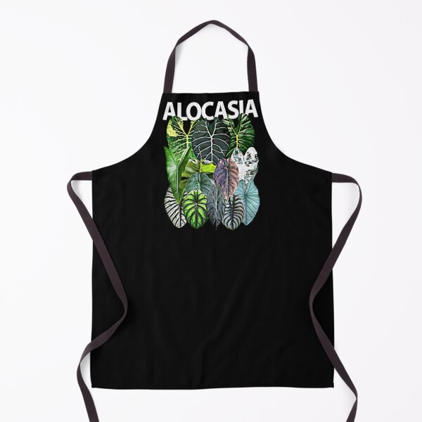 Item preview, ALOCASIA SPECIES designed and sold by MYPLANTEES.