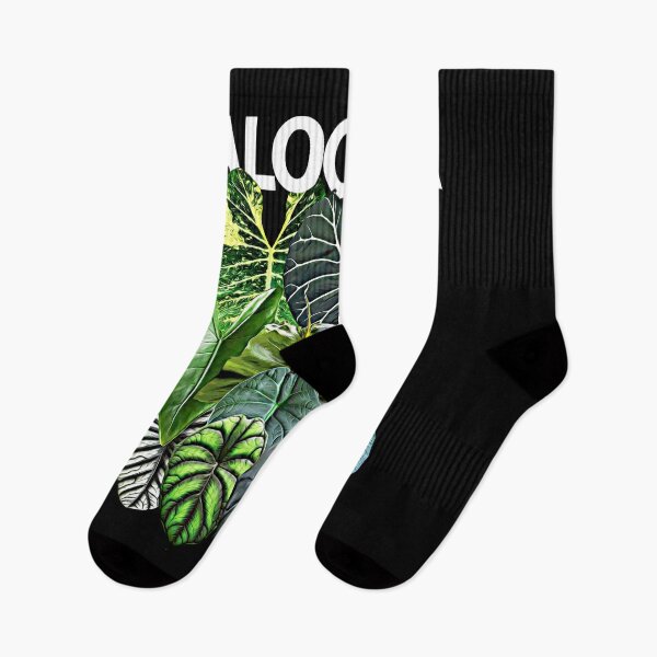 Item preview, ALOCASIA SPECIES designed and sold by MYPLANTEES.